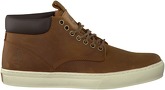 Brown Timberland Ankle boots ADVENTURE 2.0 CUPSOLE CHUKKA