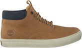 Camel Timberland Ankle boots ADVENTURE 2.0 CUPSOLE CHUKKA