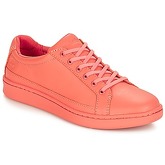 Chaussures Timberland San Francisco Flavor Oxford