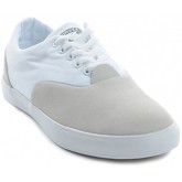 Chaussures Converse Cvolsoxgrey/white
