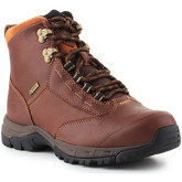 Boots Ariat Berwick lace GTX Insulated 10016298