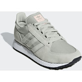 Chaussures adidas Chaussure Forest Grove