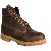 Boots Timberland MARRONI